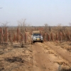 Sandpiste im verbrannten Wald (Khaudom Nationalpark)
