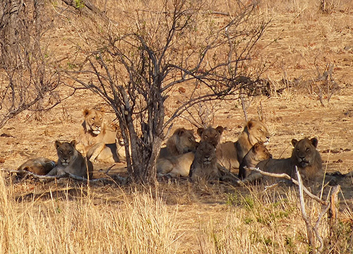 Hwange National Park