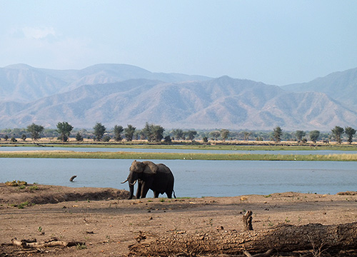 Mana Pools National Park